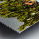 FEARLE 1 Metal print