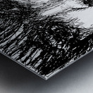 20240629 221620 3 Metal print