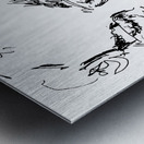 20240616 162701 2   Copy Metal print