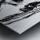 20240621 104710 3 Metal print