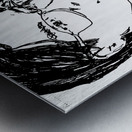 20240626 221110 4 Metal print