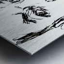 20240603 150517 4   Copy Metal print