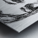 20240616 194727 2   Copy Metal print