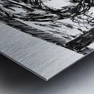 PSX 20240725 181739 Metal print