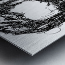 20240629 203831 3 Metal print