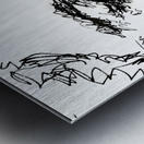 20240621 111927 3 Metal print