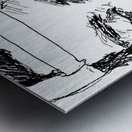 20240620 173810 3   Copy Metal print