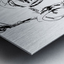 20240602 163113 3   Copy Metal print