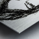 20240608 1709110 3   Copy Metal print