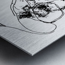 20240619 143042 2   Copy Metal print