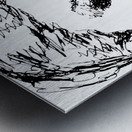 20240608 131559 3   Copy Metal print