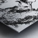 20240616 190347 3   Copy Metal print