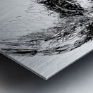 20240620 030459 4   Copy Metal print