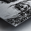 20240629 210429 3 Metal print