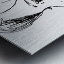 20240626 211127 7 Metal print