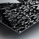 20240625 000538 6 Metal print