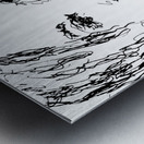 20240606 200547 4   Copy Metal print