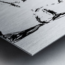 20240608 150301 2   Copy Metal print