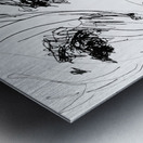 PSX 20240817 223811 Metal print