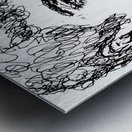 20240608 155024 4   Copy Metal print