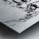 20240621 164105 3 Metal print