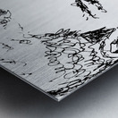 20240603 123243 3   Copy Metal print