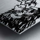 20240626 145631 4 Metal print