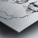 20240621 154350 2 Metal print