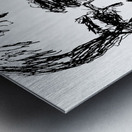 20240619 173917 2   Copy Metal print