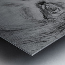 Sketch Portrait | Marc Melis Metal print