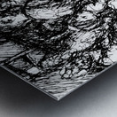 PSX 20241125 212512 Metal print