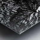 PSX 20240821 235939 3     Beginning of 8th batch. Metal print