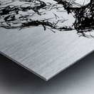 20241126 234236 2 Metal print