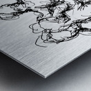 PSX 20241128 004551 Metal print