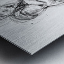 PSX 20241116 235901 Metal print