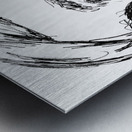 PSX 20240831 210627 2 Metal print