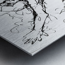 20241203 020830 3 Metal print