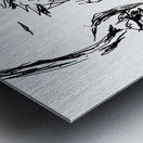 PSX 20241215 223232 Metal print