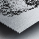 20250114 221320 3 Metal print