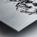 PSX 20250115 000747 Metal print