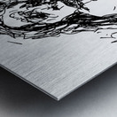 PSX 20241220 033148 Metal print