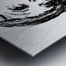 20250103 210736 3 Metal print