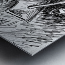 20241215 010255 2 Metal print