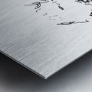 PSX 20250123 231330 Metal print