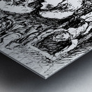 PSX 20250204 222352 Metal print