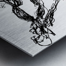 PSX 20241225 041452 Metal print