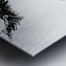 20230702 233518 3 Metal print