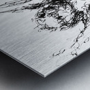 20230702 154538 EDIT   Copy Metal print