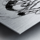 PSX 20250224 153401 Metal print