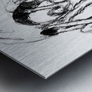 PSX 20250224 153401 Metal print